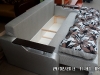 sam_0223